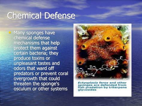  Agelas: Discover this Sponge's Unique Defense Mechanism Against Predatory Fish!