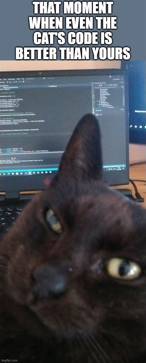 How to Get a Programming Job: Why Cats Make Better Programmers Than Dogs