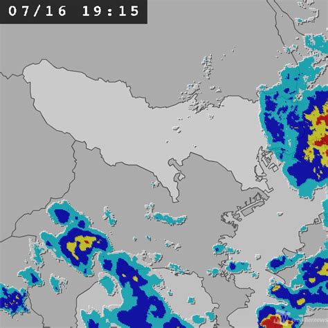 ウェザーニュース世田谷区、なぜかカラスが天気予報を担当しているらしい